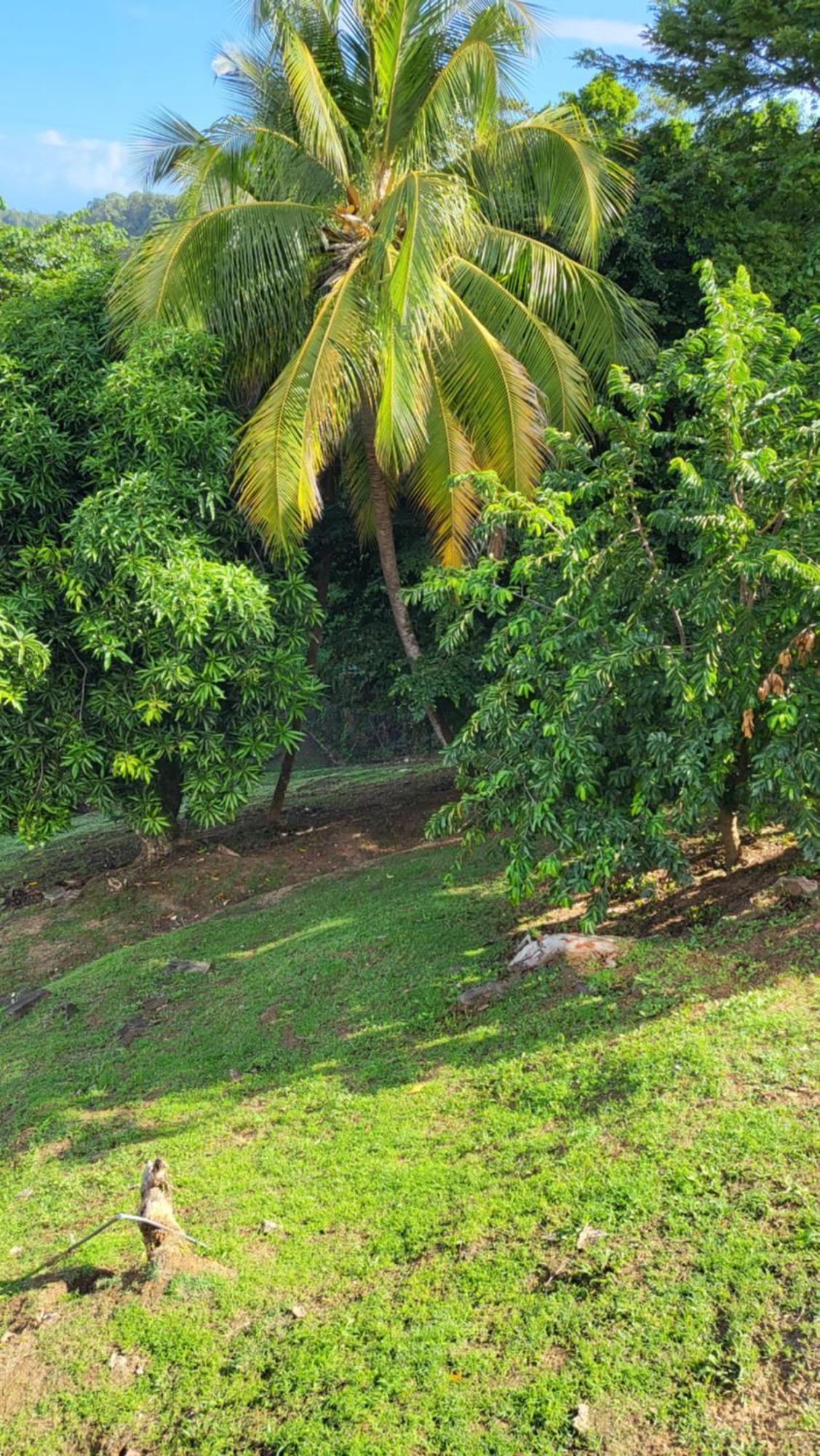Villa Le Caillou Trinite  Exterior foto